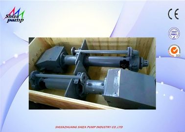 La Cina 40PV - pompa sommersa verticale centrifugo dello PS, pompa verticale dei residui di pompaggio di sabbia fornitore